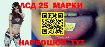 гашик Кингисепп