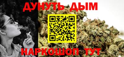 гашик Кингисепп
