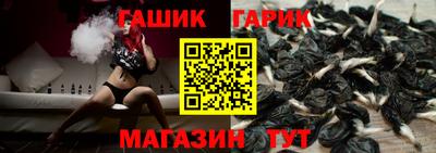 гашик Кингисепп