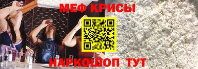 гашик Кингисепп