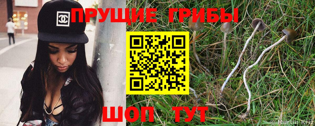 Конаково  Псилоцибиновые грибы ЛСД  Вход с VPN 